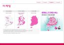 LG U+- 기업조사,LG 텔레콤 기업분석,LG 유플러스 경영성공사례,LTE 시장 분석,조직구조 및 문화,탈통신 사업,기술투자 22페이지