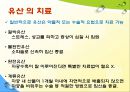 디지털미디어와기술사회-SNS심의 반대,소셜 네트워크 서비스 sns,SNS 표현의 자유,SNS 법률적 체계,SNS심의 14페이지