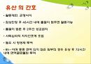 디지털미디어와기술사회-SNS심의 반대,소셜 네트워크 서비스 sns,SNS 표현의 자유,SNS 법률적 체계,SNS심의 15페이지