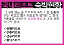 관광학원론-리조트,리조트  개념,국내리조트,해외리조트,워터파크,브랜드마케팅,서비스마케팅,글로벌경영,사례분석,swot,stp,4p 8페이지