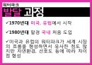 관광학원론-리조트,리조트  개념,국내리조트,해외리조트,워터파크,브랜드마케팅,서비스마케팅,글로벌경영,사례분석,swot,stp,4p 29페이지