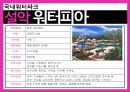 관광학원론-리조트,리조트  개념,국내리조트,해외리조트,워터파크,브랜드마케팅,서비스마케팅,글로벌경영,사례분석,swot,stp,4p 34페이지