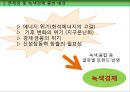 녹색경제추진의 배경과 과제-녹색경제의 정의,녹색경제 추진 해외국내 사례,녹색경제 향후 과제,기후 온난화,에너지 소비구조 8페이지
