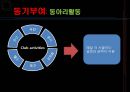 롯데호텔 (Lotte Hotel) 기업소개, 기업분석, 경영전략, 인사관리, 교육훈련, 복지 소개, 동기부여, 조직관리의 문제점/제안.pptx 24페이지