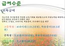 국민기초생활보장법 (입법배경, 생활보호법과의 비교, 보장절차, 수급자 선정기준, 주요원칙, 급여수준, 보장시설, 행정기관, 문제점 및 개선방안).pptx 23페이지