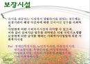 국민기초생활보장법 (입법배경, 생활보호법과의 비교, 보장절차, 수급자 선정기준, 주요원칙, 급여수준, 보장시설, 행정기관, 문제점 및 개선방안).pptx 27페이지