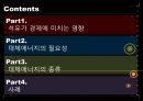 대체에너지 (석유가 경제에 미치는 영향, 대체에너지의 필요성, 대체에너지의 종류, 사례).pptx 2페이지
