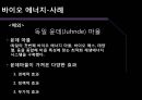 대체에너지 (석유가 경제에 미치는 영향, 대체에너지의 필요성, 대체에너지의 종류, 사례).pptx 20페이지