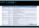 대한항공 ERP-대한항공 기업분석,대한항공 EPR의 장점 및 한계점,브랜드마케팅,서비스마케팅,글로벌경영,사례분석,swot,stp,4p 12페이지