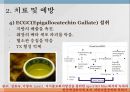 뇌혈관질환- 정의 및 현황,뇌혈관질환 원인 및 발병기전,뇌졸중(Stroke), 중풍,고혈압성 뇌출혈,뇌경색,중풍예방,뇌졸증 예방및 처방 13페이지