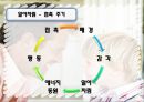 게슈탈트 상담이론 (게슈탈트 이론, 이론 상황극) 게슈탈트 상담이론,게슈탈트 이론,프릿츠 펄스,게슈탈트 치료의 정신병리이론,게슈탈트 치료의 목표,게슈탈트 치료자의 태도.ppt 8페이지
