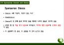 에드먼드 스펜서 [Edmund Spenser] 르네상스(Renaissance) 미술과 문학의 변화 & 소네트(Sonnet) 개념, 등장배경, 종류 & 에드먼드 스펜서(Edmund Spenser) 생애, 주요작품, 대표작.pptx
 28페이지