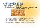 바이오매스- 메탄발효,바이오매스 에너지,바이오매스 열이용,바이오매스 플랜테이션 17페이지