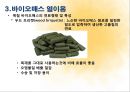바이오매스- 메탄발효,바이오매스 에너지,바이오매스 열이용,바이오매스 플랜테이션 20페이지