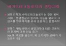 바이오테크놀로지와 생명윤리-인간게놈프로젝트,유전자치료,인공장기,멘델,레벤후크,바이오테크놀로지의 역사 3페이지