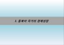 세계화와 동북아 경제협력-중국일본북한한국의 경제성장,동북아 경제협력,한중일 FTA,동북아국가와 세계경제,동북아 경제협력의 한계 4페이지