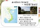 베트남  식문화사-음식문화의 특징,식사예절,식사모습,식기류,조리도구,베트남과 쌀,브랜드마케팅,서비스마케팅,글로벌경영,사례분석,swot,stp,4p 4페이지