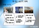 미국 무역에 관한 사례 분석- 미국의 정보통신 무역,미국 무역 공동화,미-EU 소고기 무역,브랜드마케팅,서비스마케팅,글로벌경영,사례분석,swot,stp,4p 18페이지