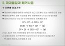 오존층 파괴-파괴물질과 메커니즘,오존층 파괴로 인한 영향,오존층 보호를 위한 노력,오존층이란 ,오존홀의 확대,국제 조약 13페이지