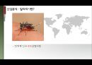 엑세스 바이오 [Access Bio] 산업분석, 기업분석, 기업소개, 투자포인트, 리스크, 말라리아, WHO 말라리아 퇴치 정책 변천사, 말라리아 진단방법의 변화.pptx 4페이지