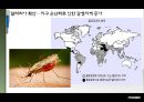 엑세스 바이오 [Access Bio] 산업분석, 기업분석, 기업소개, 투자포인트, 리스크, 말라리아, WHO 말라리아 퇴치 정책 변천사, 말라리아 진단방법의 변화.pptx 25페이지