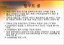 오랜 앙숙을 넘어 유럽통합의 쌍두마차로- 프랑스-독일의 관계로 본 유럽통합 「유럽통합의 역사」 (유럽통합의 역사,프랑스-독일의 관계,보-불전쟁,양차 세계대전,EU의 쌍두마차,독일 통일 후의 두 국가, EU).pptx 13페이지