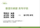 유한킴벌리 [Yuhan Kimberly] 기업소개, 조직구조, 유한킴벌리 조직구조의 시사점, 경영상 시사점, 경영전략사례.pptx 12페이지
