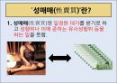 성매매특별법,세계 성매매사례,성매매 사례,성매매 찬반론 ppt 2페이지