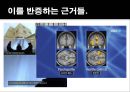 사회학원론-아동성범죄 문제,아동성범죄의 현황과처벌,교육문제,사회화의 오류,재 사회화,잘못된 범죄 예방 교육,소아기호증,재 사회화(치료) 22페이지