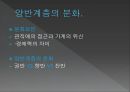 조선시대 신분제 해체-조선시대의 4신분,신분상승 운동,신분상승 운동의 한계,조선후기 신분제 변동론 4페이지