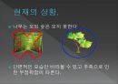 조선시대 신분제 해체-조선시대의 4신분,신분상승 운동,신분상승 운동의 한계,조선후기 신분제 변동론 39페이지