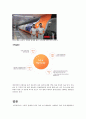 제주항공 성공사례- 저가 항공 산업 제주항공,항공산업 제주항공,브랜드마케팅,서비스마케팅,글로벌경영,사례분석,swot,stp,4p 16페이지