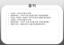 크루즈 관광 (크루즈 관광 산업의 현황과 전망,국내 크루즈 관광 산업,크루즈 관광의 필요성과 육성정책,크루즈 산업의 발달과정).pptx 27페이지