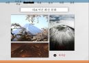   지진과 해일, 화산분화, 폭설, 장마, 태풍  (대표적인 화산 분화,후지산,지리적 원인,평균기간과 평균 강수량.pptx
 12페이지