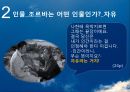 『그리스인 조르바 (Zorba the Greek)』 작가 니코스 카잔차키스(Nikos Kazantzakis) 생애와 시대 배경 및 작가의 사상, 주제의식, 그리스인 조르바 분석.pptx 16페이지