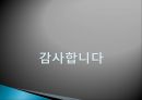 정부의 형태(대통령제, 의원내각제, 이원집정제)정부형태, 통치형태,한국의 정치체제 ppt 46페이지