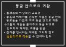 플라톤의 이상국가와교육론,플라톤의 세계인식(이데아, 동굴의 비유),플라톤이 생각한 이상국가와 리더,이상국가에서의 교육관 10페이지