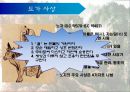 중국문화개설,중국의 전통사상,중국철학의 시대적 구분,유가 사상,도가 사상,불교 사상,주희와 왕양명,한대경학과 송.명이학 및 청대 이후의 유학 ppt 22페이지