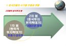 중국경제-중국시장진출사례,한국기업의 중국진출,글로벌현지화전략사례(중국시장),브랜드마케팅,서비스마케팅,글로벌경영,사례분석,swot,stp,4p 3페이지
