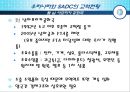 지역 연구론- 남아프리카 개발 공동체,아프리카 시장,SADC의 교역현황,남부아프리카 진출,브랜드마케팅,서비스마케팅,글로벌경영,사례분석,swot,stp,4p 18페이지
