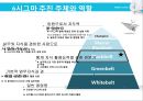 6시그마 기업혁명- 품질경영의 변화,품질경영,TQM과 6시그마,블랙벨트,브랜드마케팅,서비스마케팅,글로벌경영,사례분석,swot,stp,4p 16페이지