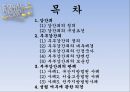 강간죄의 구성요건,부부강간죄의 양면성,부부강간죄의 모순성,부부강간죄의 인정국가 ppt 2페이지