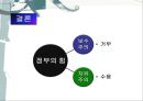 보수주의·자유주의·민주주의 - 보수주의, 현대 미국의 보수주의, 자유주의, 현대 미국의 자유주의 (급진우익 또는 신우익,전통보수주의,신보수주의,자유주의의 기원).pptx 29페이지