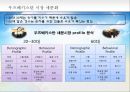 우즈베키스탄(Uzbekistan) 시장개척을 위한 심층조사 분석과 전략방안 (우즈베키스탄 시장 동향 분석, 우즈베키스탄 시장 세분화, 우즈베키스탄 시장 진출을 위한 STP, 4P Mix, 유아의류시장 구축을 위한 진출).pptx 18페이지