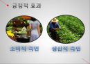 곡물시장의 국제화 현황,Cargill이란,Cargill의 양면성,세계 최대의 식품 기업,식량의 식민 지배화,식량의 식민 지배 사례,식량 지배의 폐해 ppt 12페이지