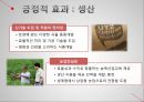 곡물시장의 국제화 현황,Cargill이란,Cargill의 양면성,세계 최대의 식품 기업,식량의 식민 지배화,식량의 식민 지배 사례,식량 지배의 폐해 ppt 14페이지