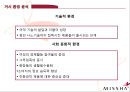 미샤 화장품시장, 저가화장품시장,미샤 마케팅사례,미샤 성공사례,화장품 산업,브랜드마케팅,서비스마케팅,글로벌경영,사례분석,swot,stp,4p 11페이지