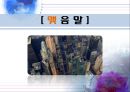 수출기업의 환위험와 KIKO,콜옵션과 풋옵션,KIKO 환위험 파생상품,레버리지 효과,녹인 녹아웃,브랜드마케팅,서비스마케팅,글로벌경영,사례분석 27페이지