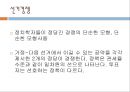 국제경제학-자유무역론,자유무역의 효율성사례,소득분배와 무역정책,국제협상과 무역정책,브랜드마케팅,서비스마케팅,글로벌경영,사례분석,swot,stp,4p 18페이지