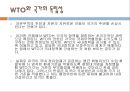 국제경제학-자유무역론,자유무역의 효율성사례,소득분배와 무역정책,국제협상과 무역정책,브랜드마케팅,서비스마케팅,글로벌경영,사례분석,swot,stp,4p 54페이지